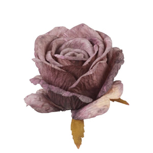 Violetti