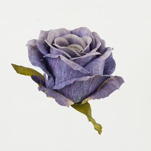 Violetti