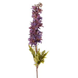 Violetti