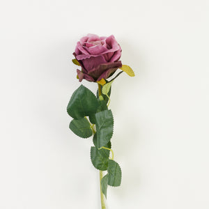 Violetti