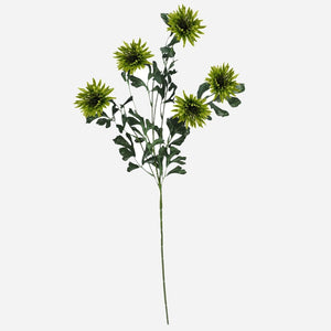 Heleroheline